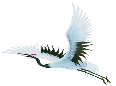 Crane